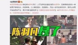 供地爆料视频真实,供地爆料视频深度解析
