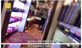 爆料燕子探店事件视频,一场美食与真相的邂逅