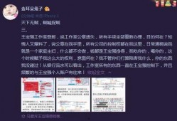 马蓉深夜爆料视频,婚姻真相与情感纠葛