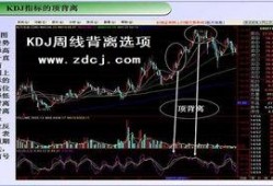 背离在线观看,揭秘在线观看背后的秘密与启示