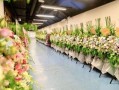 花篮网爆料最新视频,精彩瞬间不容错过