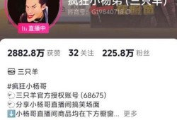 潮汕三哥爆料视频大全,揭秘潮汕风俗与文化