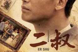 二叔全集在线观看,温情回忆，家族情怀的深情演绎