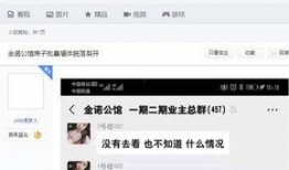 房产爆料视频大全最新版,最新版深度解析，揭秘楼市动态与趋势