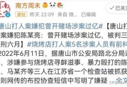 陈晓亮天涯爆料视频大全,揭秘娱乐圈不为人知的秘密