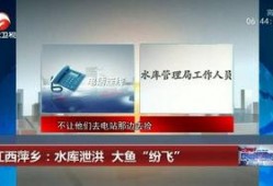广西梧州新闻爆料网址,聚焦本地热点，解码民生故事